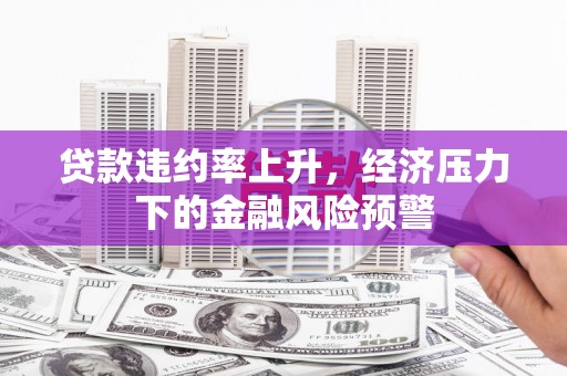 昭阳贷款违约率上升，经济压力下的金融风险预警