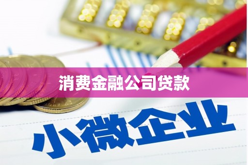 昭阳消费金融公司贷款