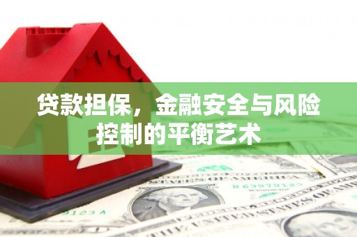 昭阳贷款担保，金融安全与风险控制的平衡艺术