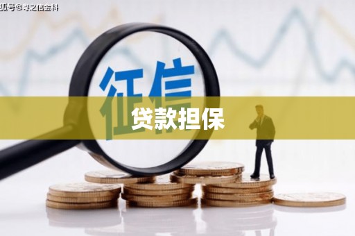 昭阳贷款担保