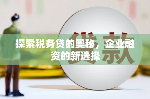 昭阳探索税务贷的奥秘，企业融资的新选择