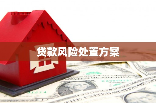 昭阳贷款风险处置方案