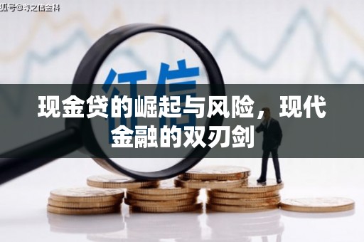 昭阳现金贷的崛起与风险，现代金融的双刃剑