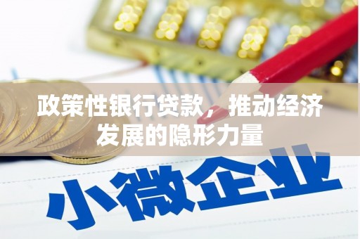 昭阳政策性银行贷款，推动经济发展的隐形力量