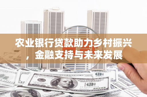 昭阳农业银行贷款助力乡村振兴，金融支持与未来发展