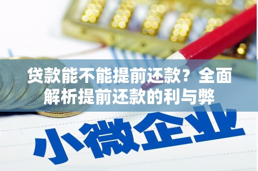 昭阳贷款能不能提前还款？全面解析提前还款的利与弊