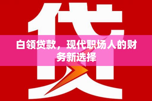 昭阳白领贷款，现代职场人的财务新选择