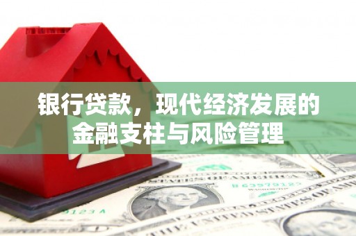 昭阳银行贷款，现代经济发展的金融支柱与风险管理