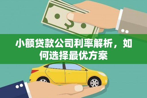 昭阳小额贷款公司利率解析，如何选择最优方案