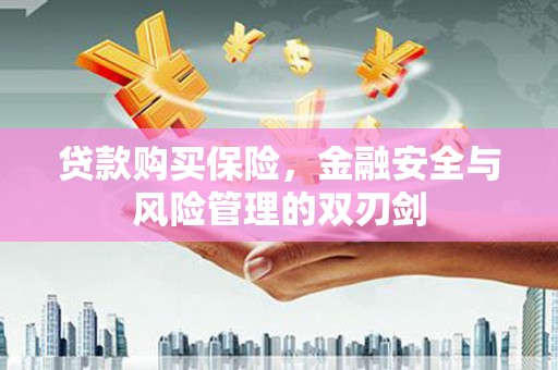 昭阳贷款购买保险，金融安全与风险管理的双刃剑