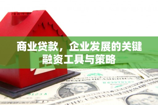 昭阳商业贷款，企业发展的关键融资工具与策略