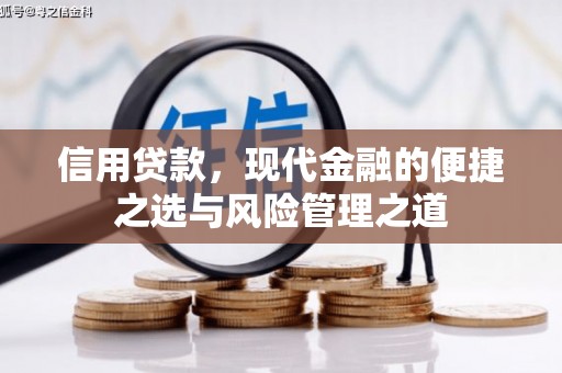 昭阳信用贷款，现代金融的便捷之选与风险管理之道