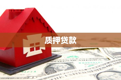 昭阳质押贷款