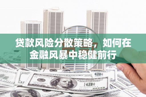 昭阳贷款风险分散策略，如何在金融风暴中稳健前行
