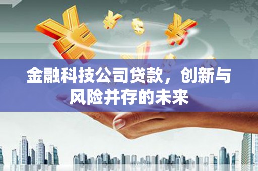 昭阳金融科技公司贷款，创新与风险并存的未来