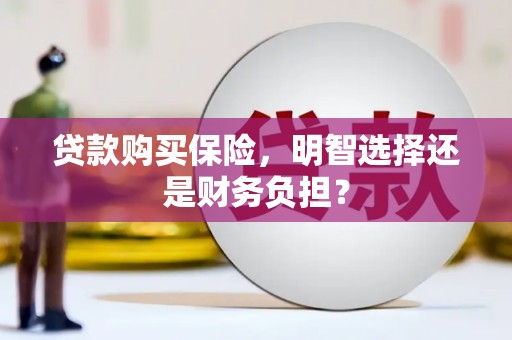 昭阳贷款购买保险，明智选择还是财务负担？