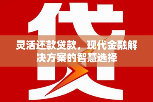 昭阳灵活还款贷款，现代金融解决方案的智慧选择