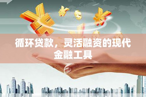 昭阳循环贷款，灵活融资的现代金融工具