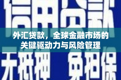 昭阳外汇贷款，全球金融市场的关键驱动力与风险管理