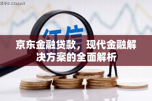 昭阳京东金融贷款，现代金融解决方案的全面解析