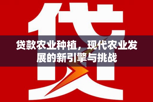 昭阳贷款农业种植，现代农业发展的新引擎与挑战