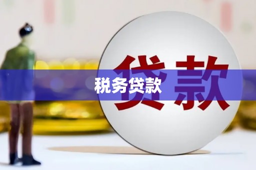 昭阳税务贷款