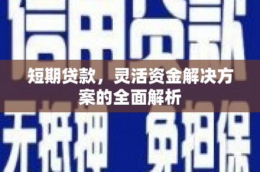 昭阳短期贷款，灵活资金解决方案的全面解析
