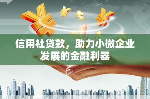 昭阳信用社贷款，助力小微企业发展的金融利器