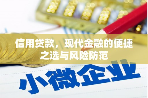 昭阳信用贷款，现代金融的便捷之选与风险防范
