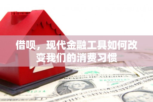 昭阳借呗，现代金融工具如何改变我们的消费习惯