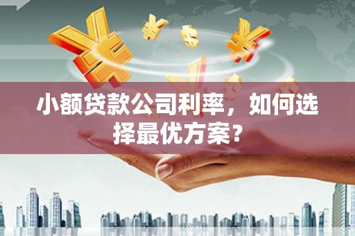 昭阳小额贷款公司利率，如何选择最优方案？
