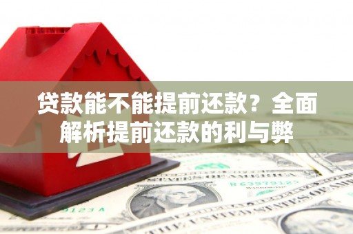 昭阳贷款能不能提前还款？全面解析提前还款的利与弊
