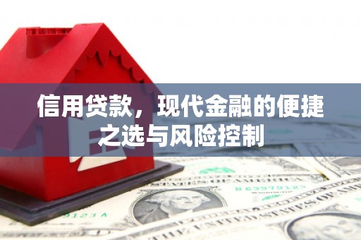 昭阳信用贷款，现代金融的便捷之选与风险控制