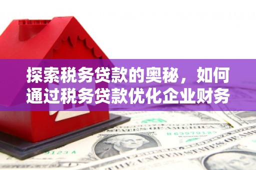 昭阳探索税务贷款的奥秘，如何通过税务贷款优化企业财务