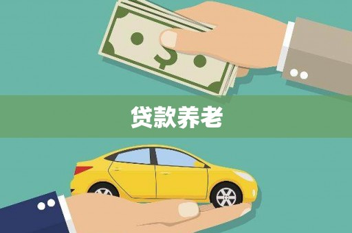 昭阳贷款养老