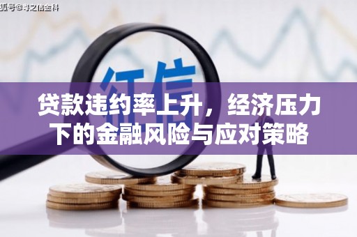 昭阳贷款违约率上升，经济压力下的金融风险与应对策略