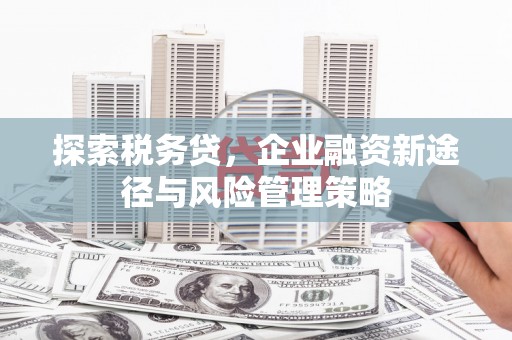 昭阳探索税务贷，企业融资新途径与风险管理策略