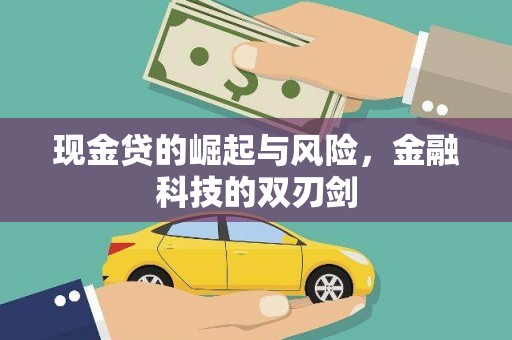 昭阳现金贷的崛起与风险，金融科技的双刃剑