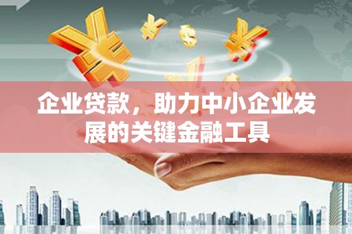 昭阳企业贷款，助力中小企业发展的关键金融工具