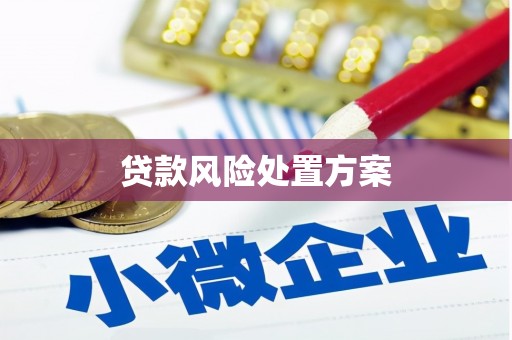 昭阳贷款风险处置方案