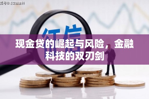 昭阳现金贷的崛起与风险，金融科技的双刃剑