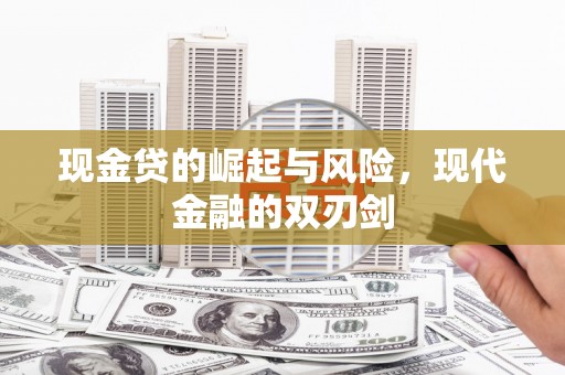 昭阳现金贷的崛起与风险，现代金融的双刃剑