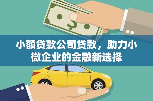 昭阳小额贷款公司贷款，助力小微企业的金融新选择