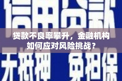 昭阳贷款不良率攀升，金融机构如何应对风险挑战？