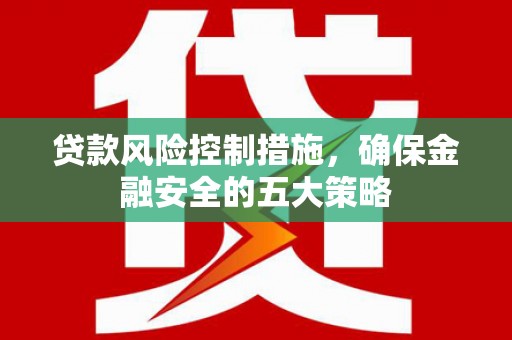 昭阳贷款风险控制措施，确保金融安全的五大策略