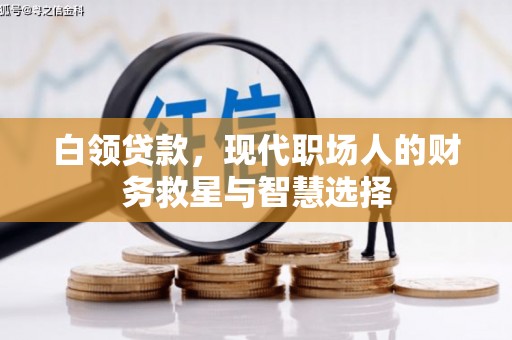 昭阳白领贷款，现代职场人的财务救星与智慧选择