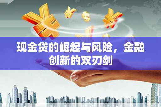 昭阳现金贷的崛起与风险，金融创新的双刃剑