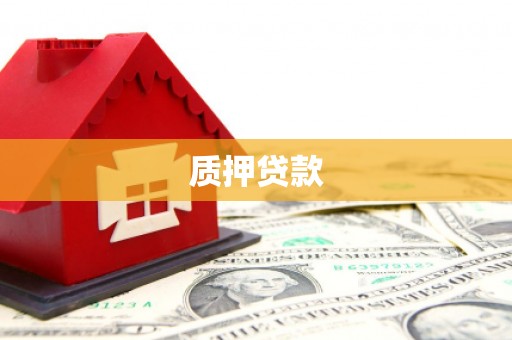 昭阳质押贷款