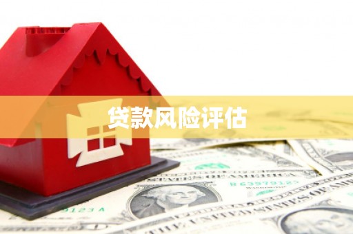 昭阳贷款风险评估