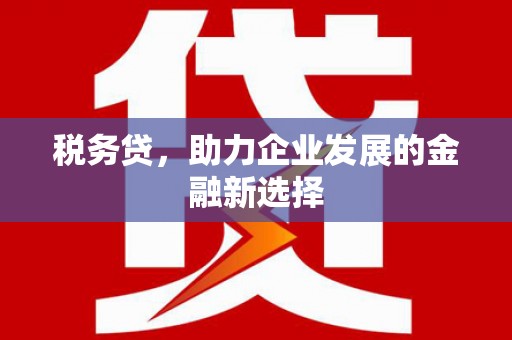 昭阳税务贷，助力企业发展的金融新选择